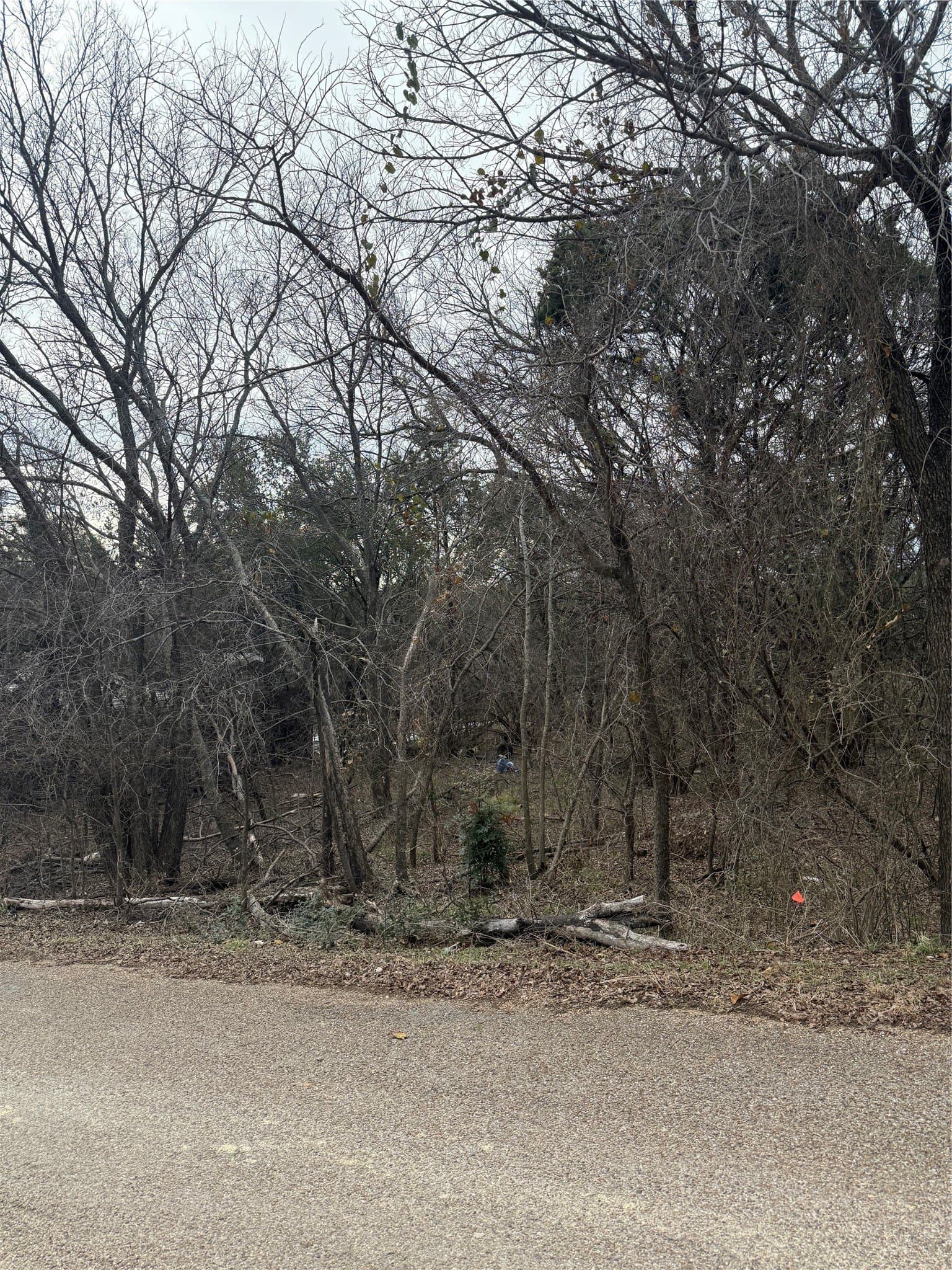 0.08 acres in Hood County gallery image 2