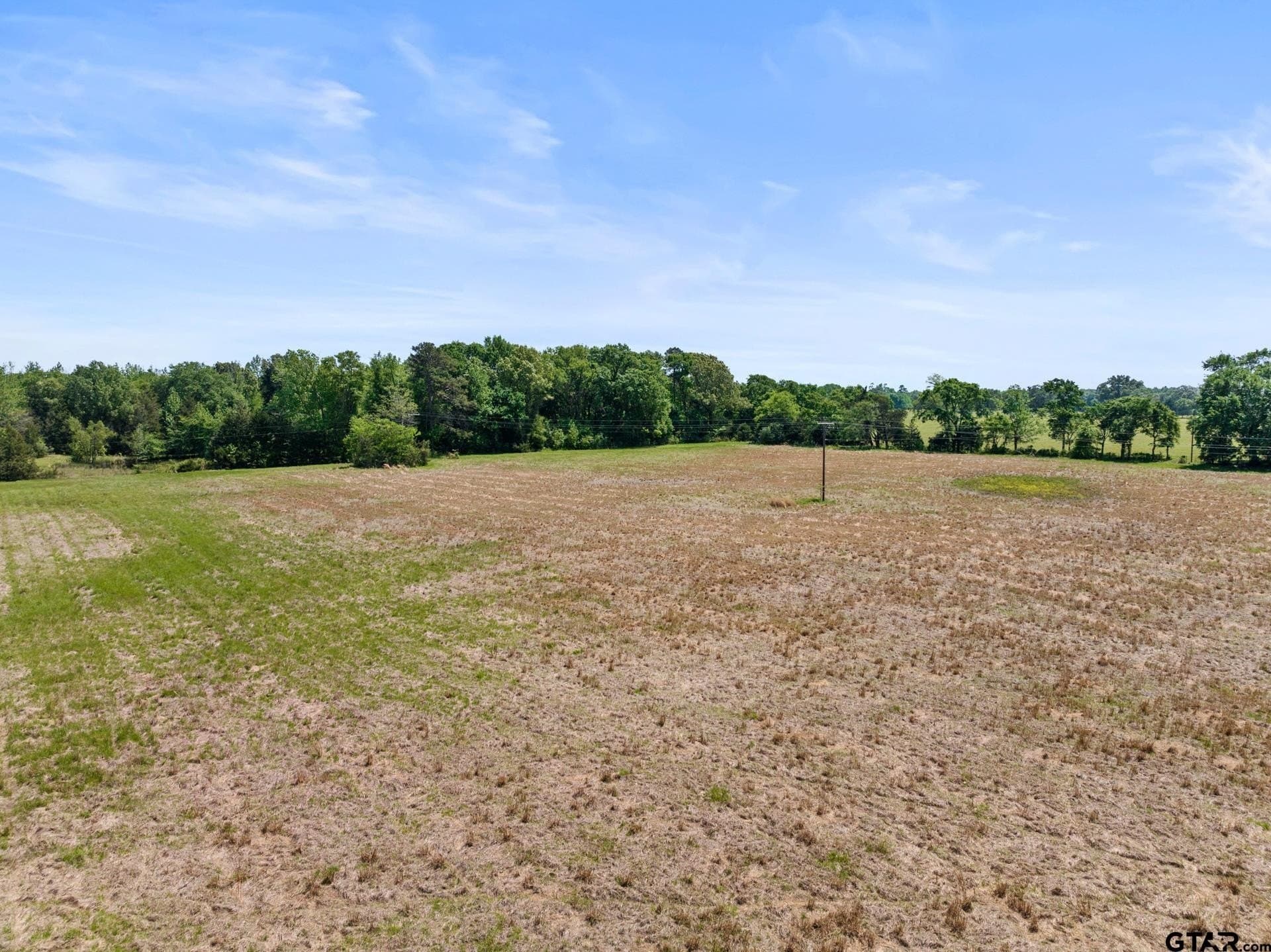 10 acres in Camp County gallery image 3