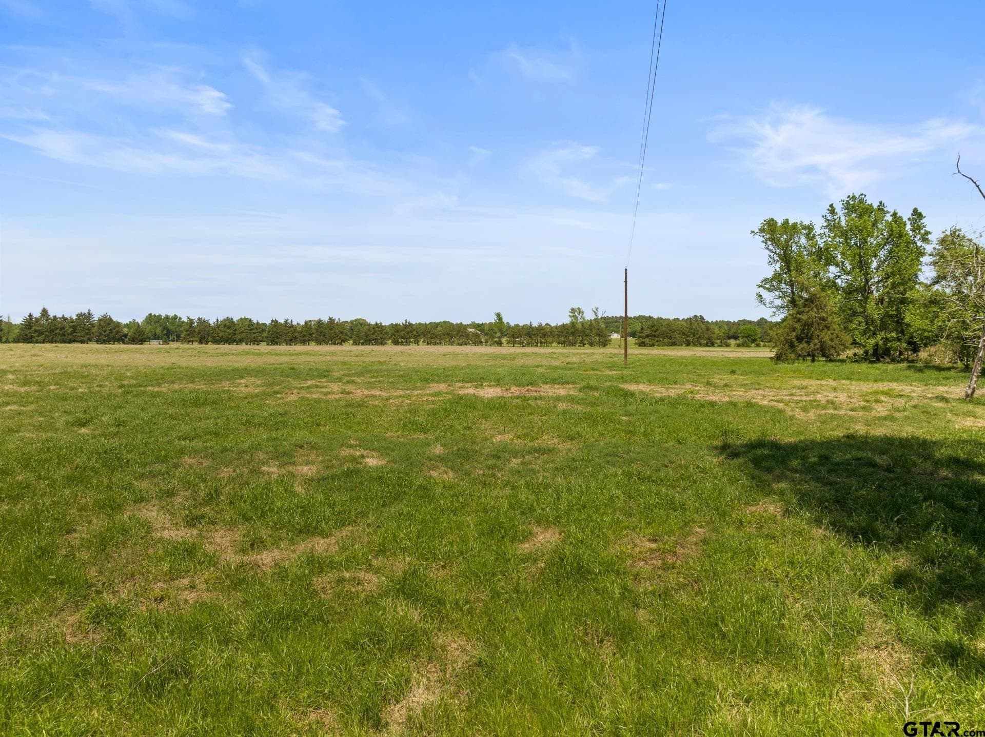 10 acres in Camp County gallery image 2