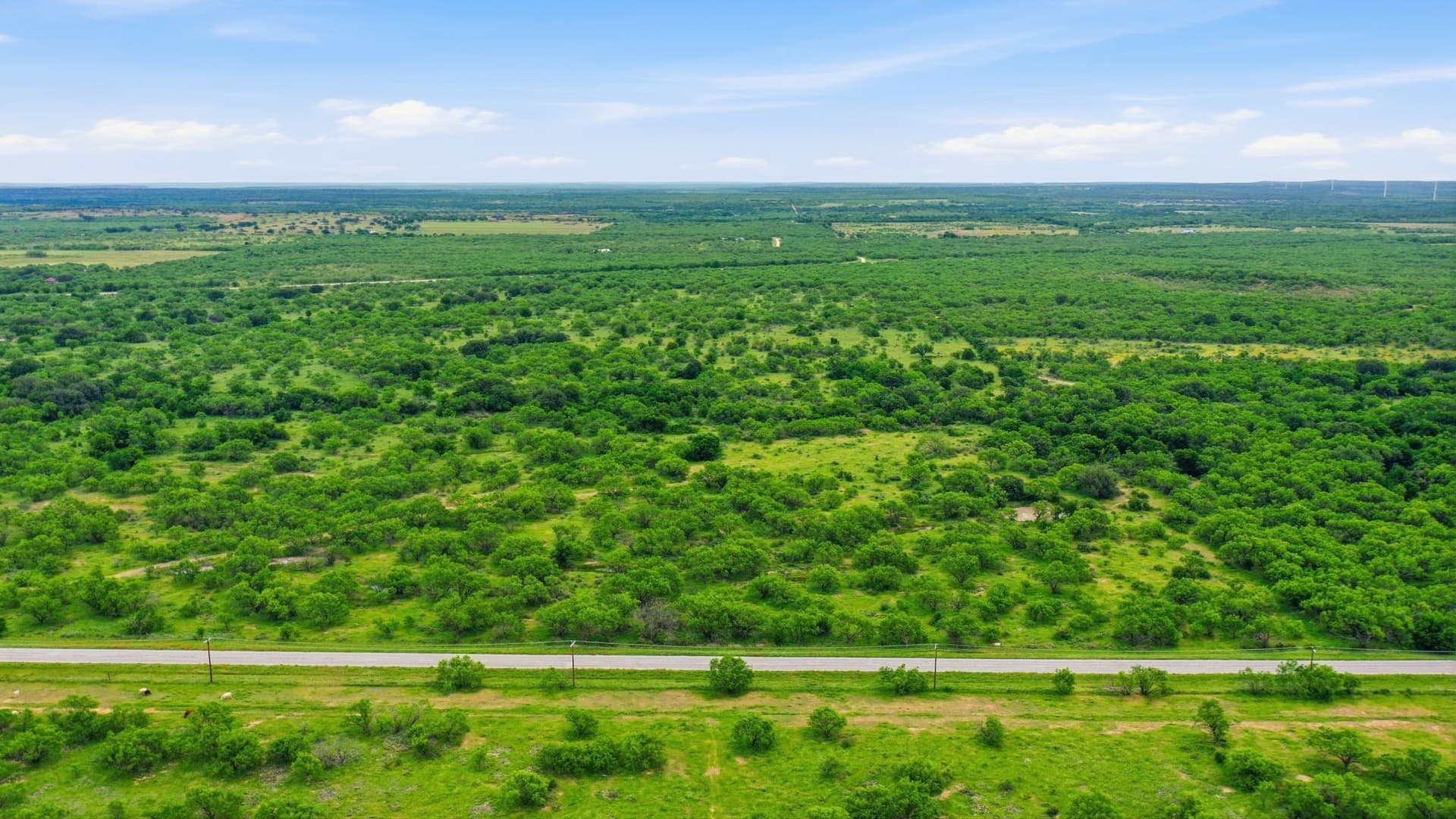 141 acres in Shackelford County - photo 2