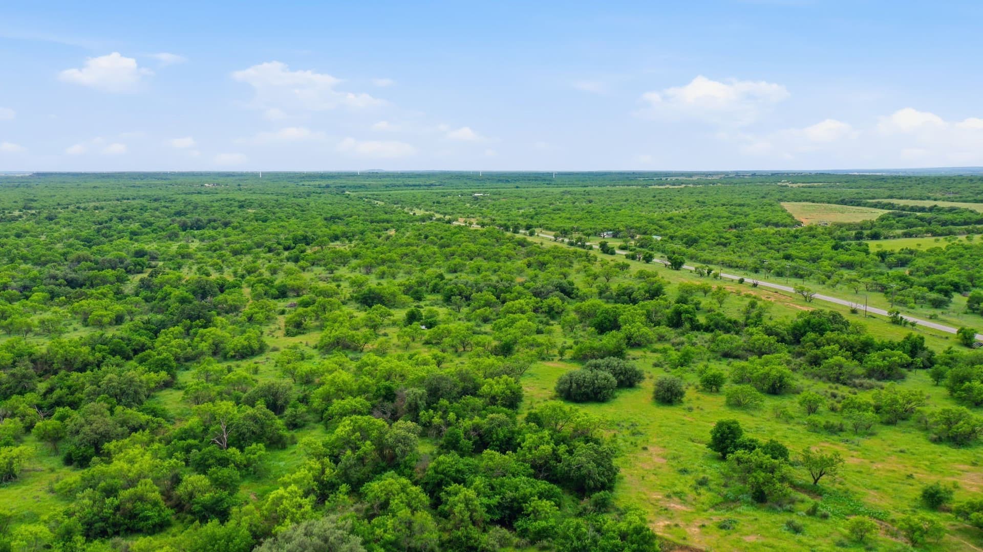 141 acres in Shackelford County - photo 35