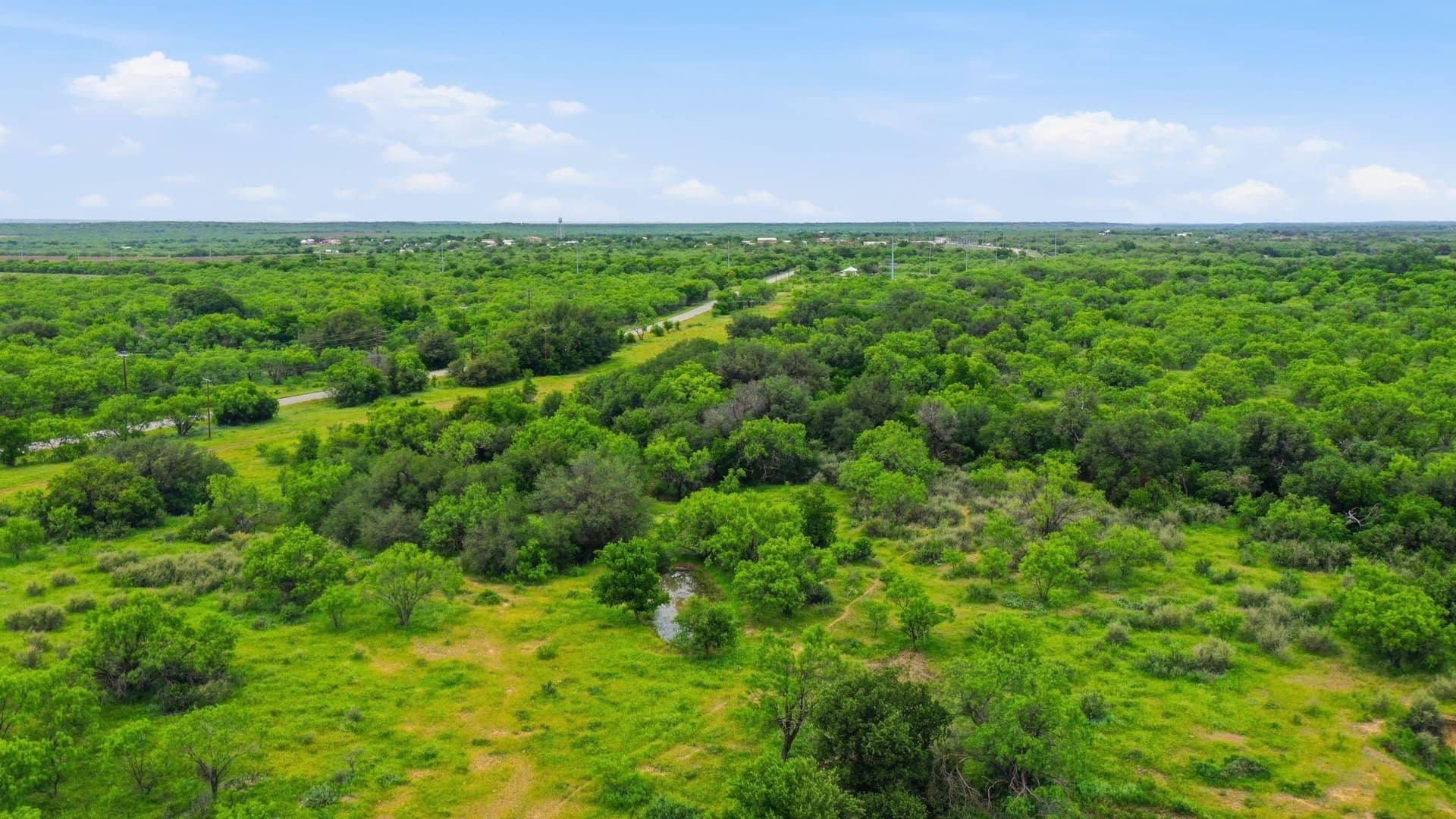 141 acres in Shackelford County - photo 36