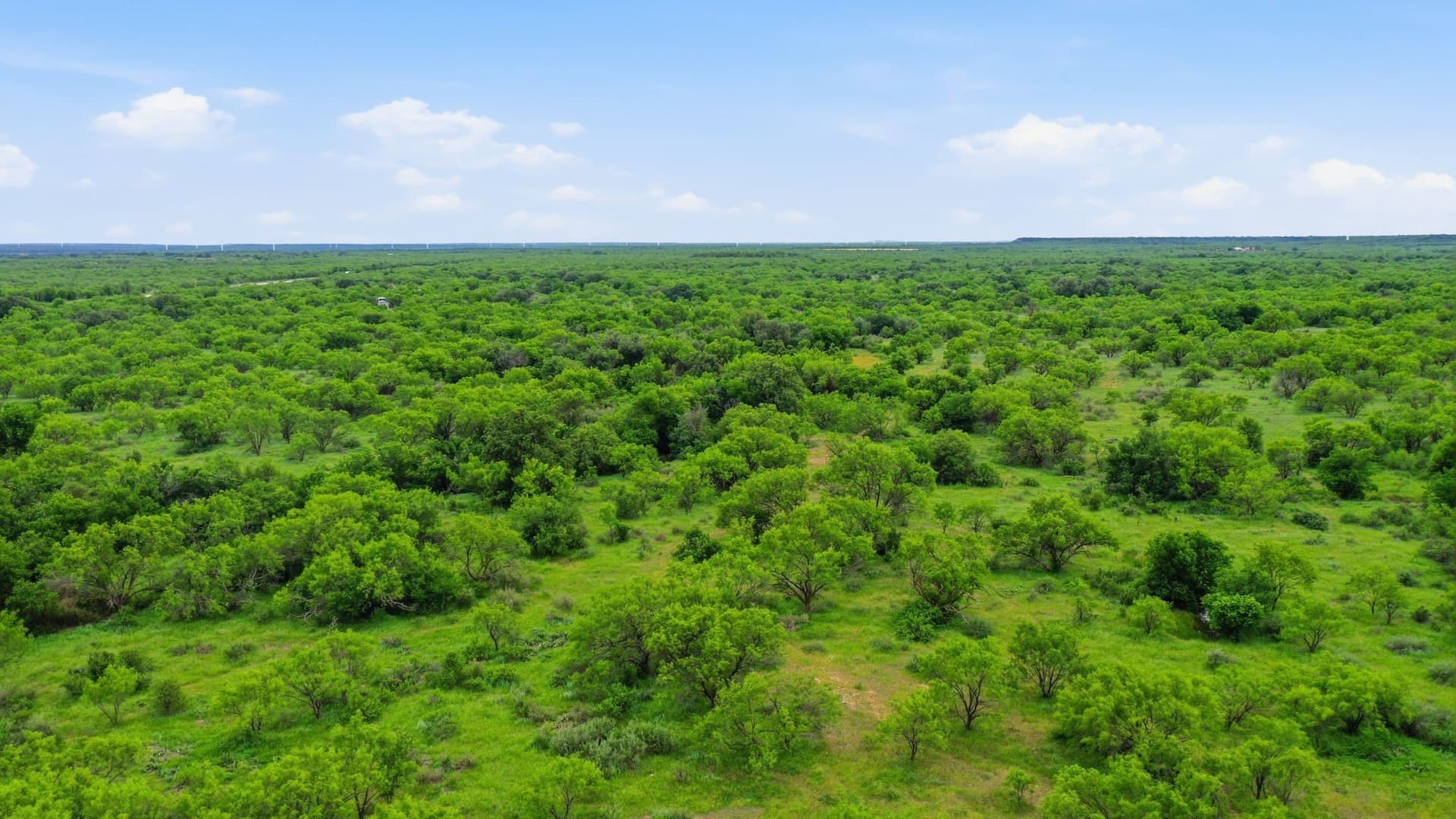 141 acres in Shackelford County - photo 20