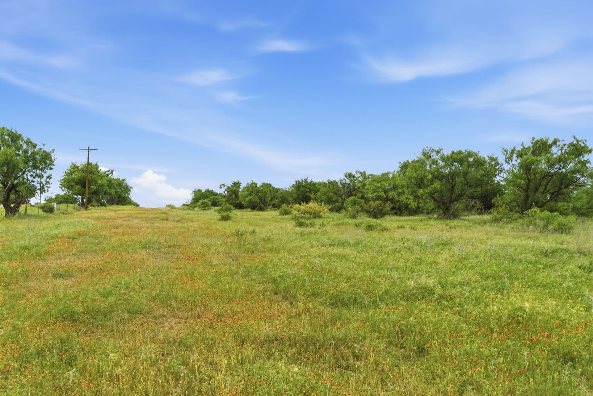 141 acres in Shackelford County - photo 7