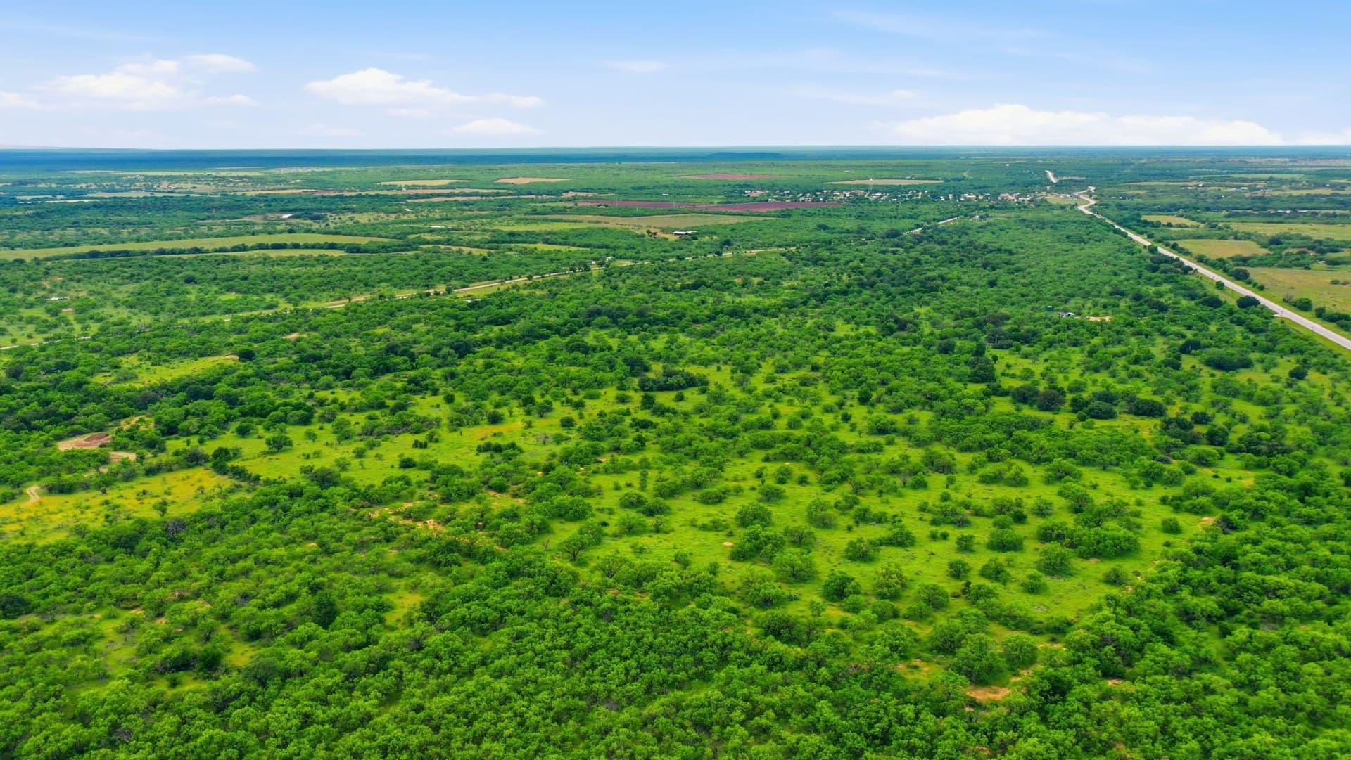141 acres in Shackelford County - photo 13