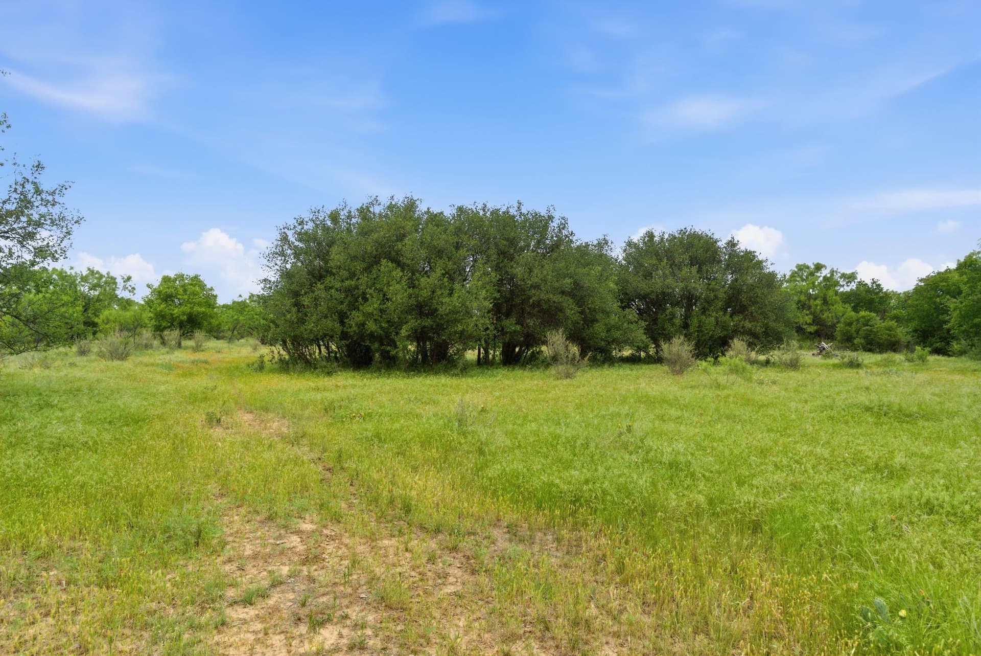 141 acres in Shackelford County