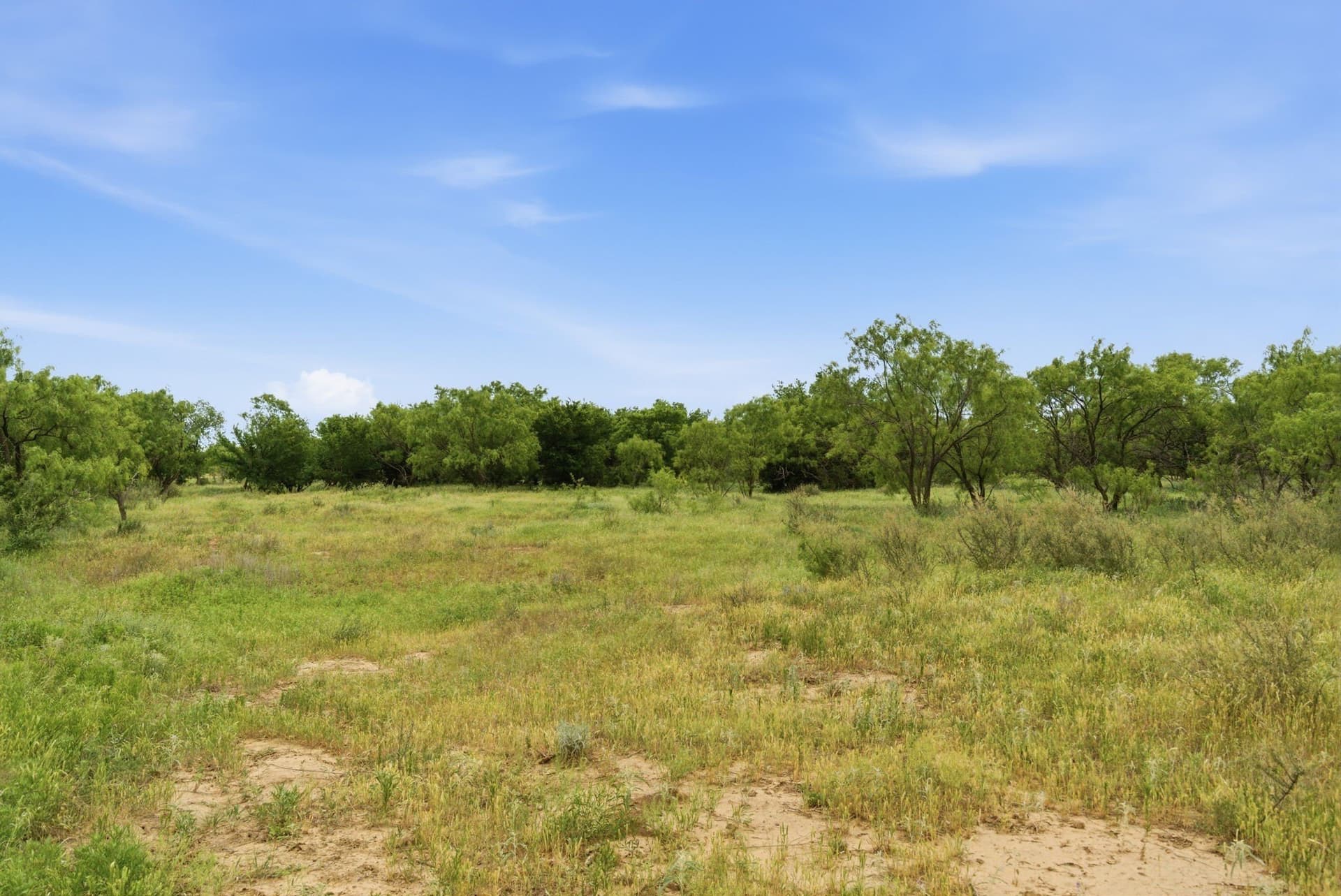 141 acres in Shackelford County - photo 11