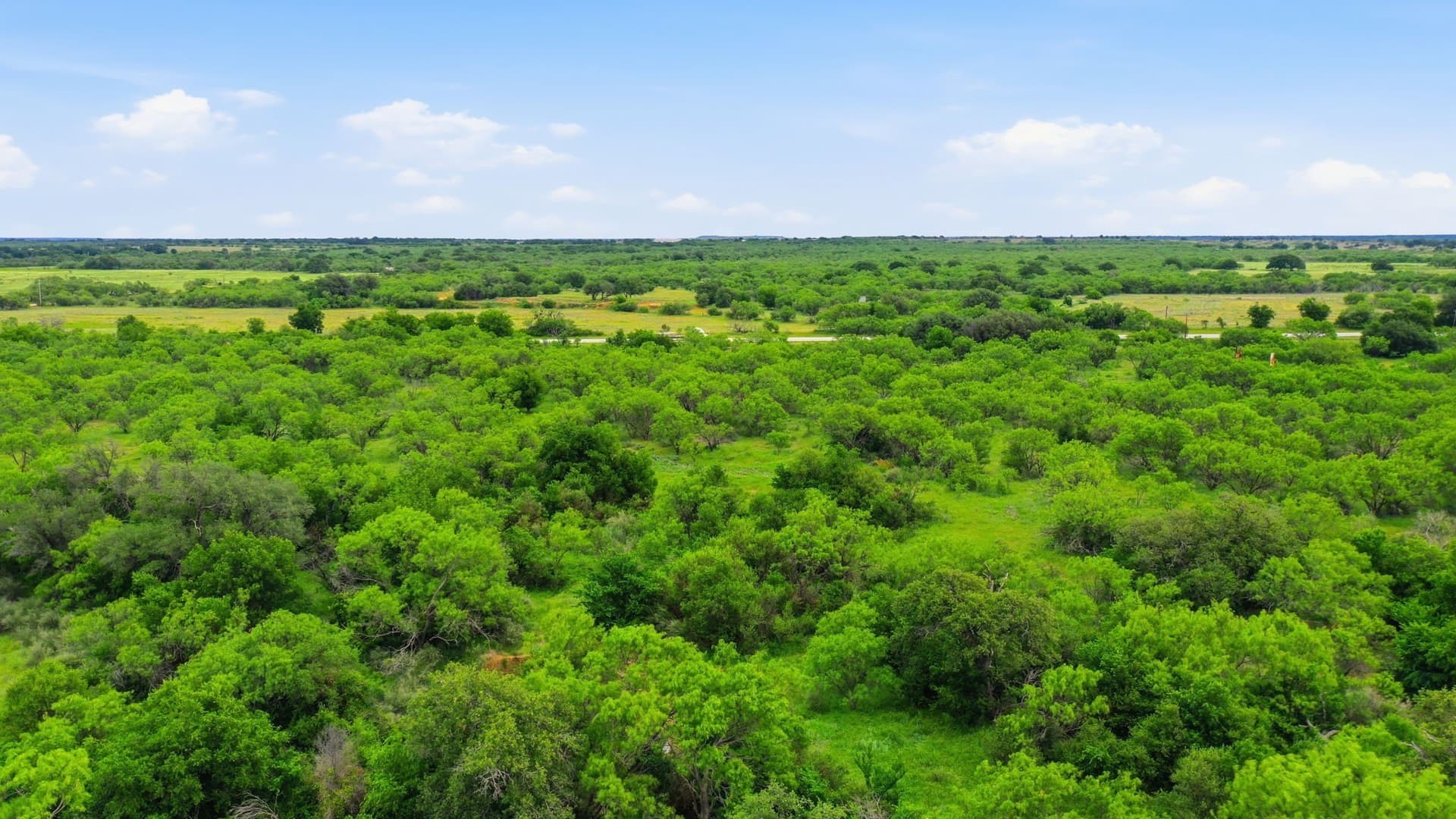 141 acres in Shackelford County - photo 22