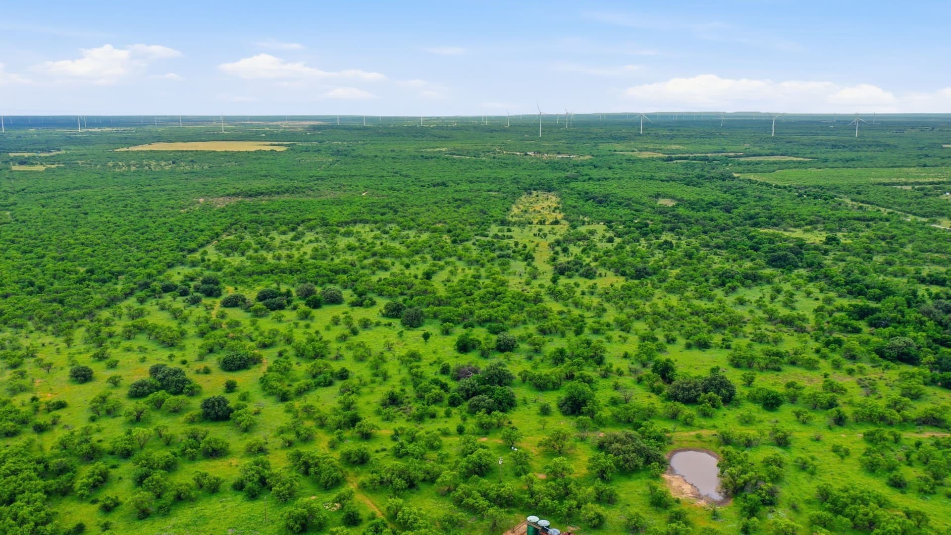 141 acres in Shackelford County - photo 9