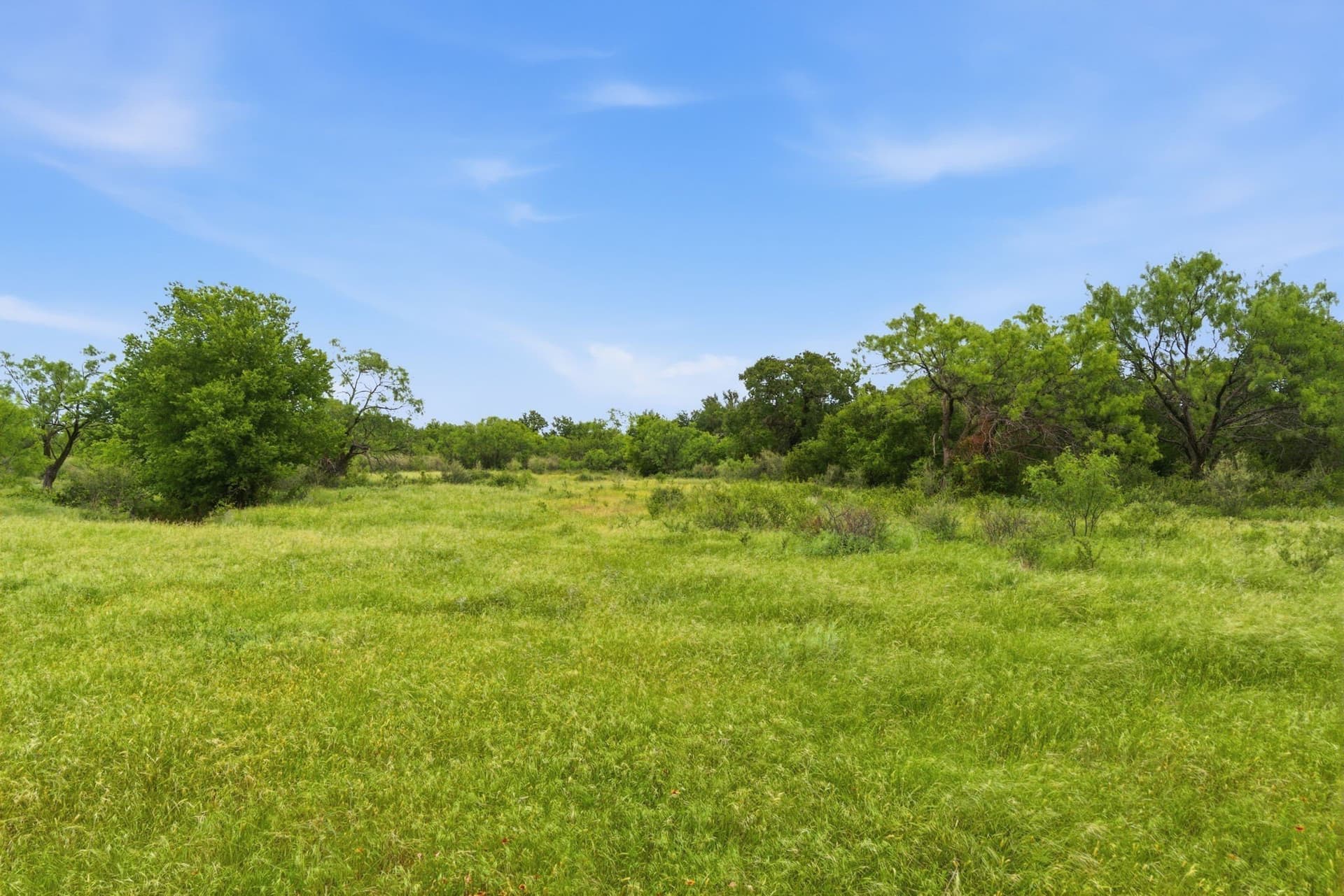141 acres in Shackelford County - photo 32