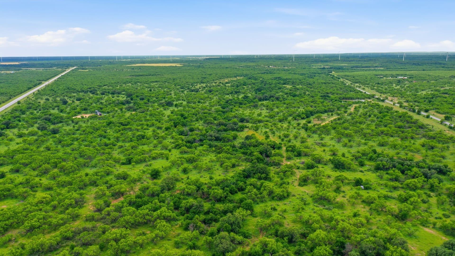 141 acres in Shackelford County - photo 17