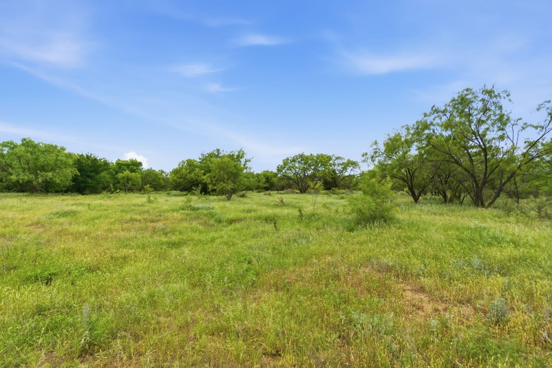 141 acres in Shackelford County - photo 21