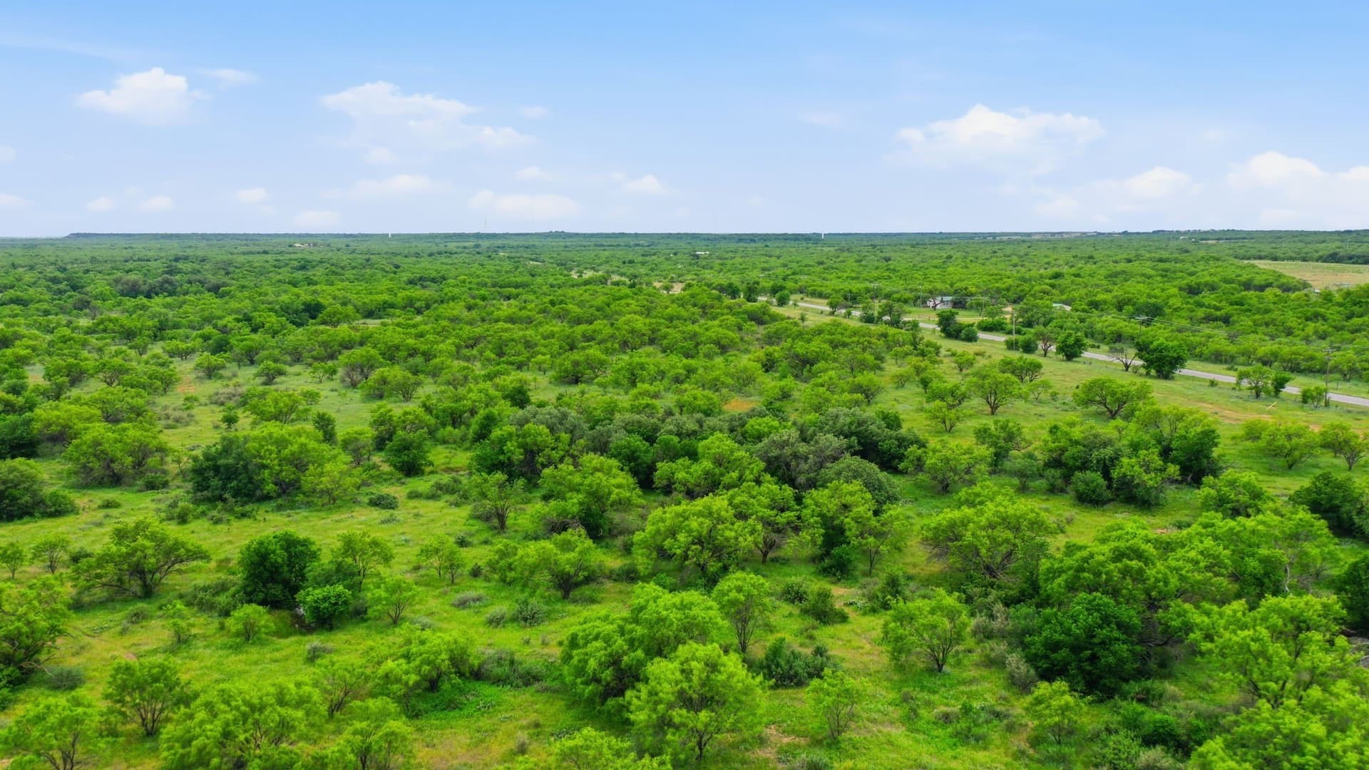 141 acres in Shackelford County - photo 19
