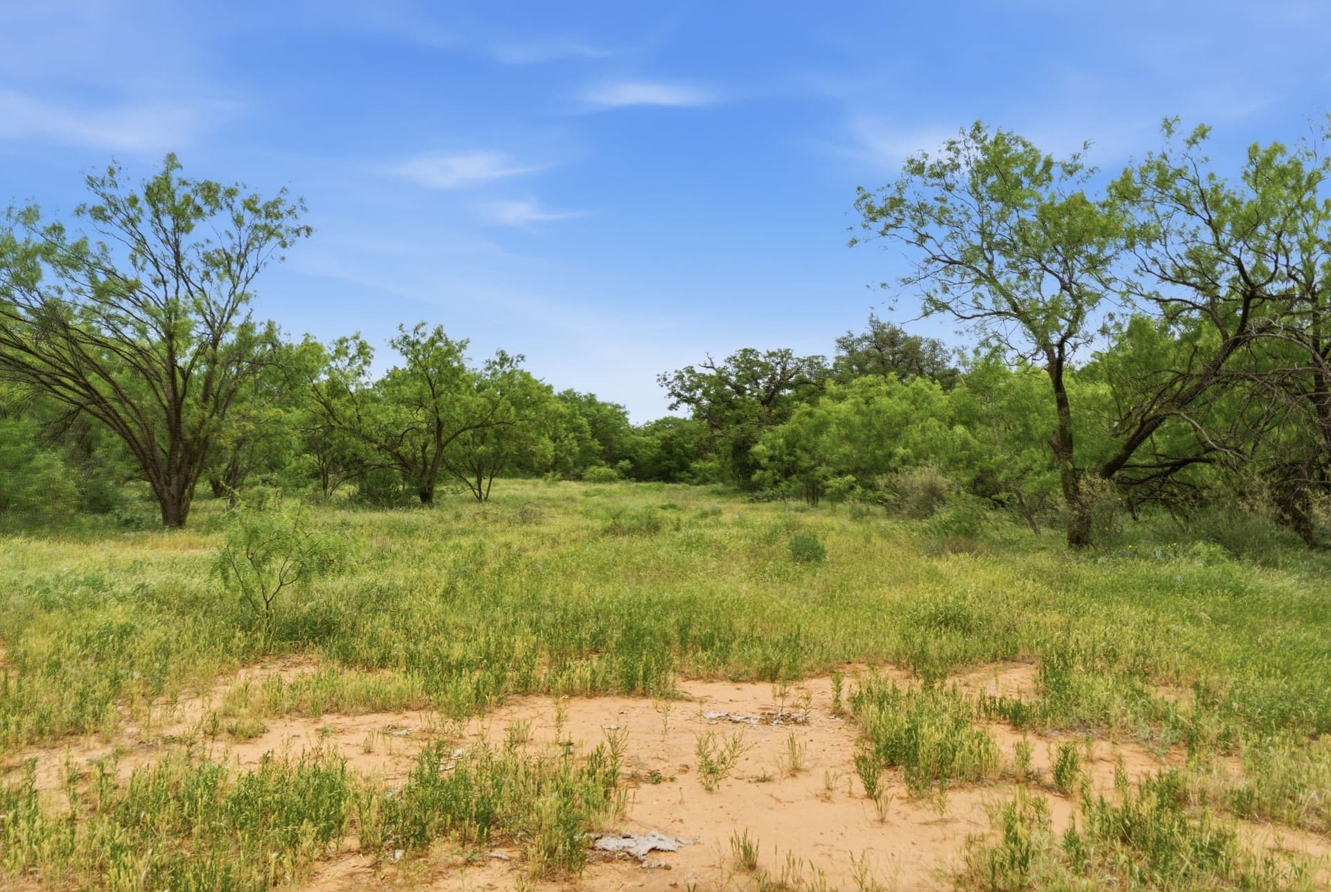 141 acres in Shackelford County - photo 10