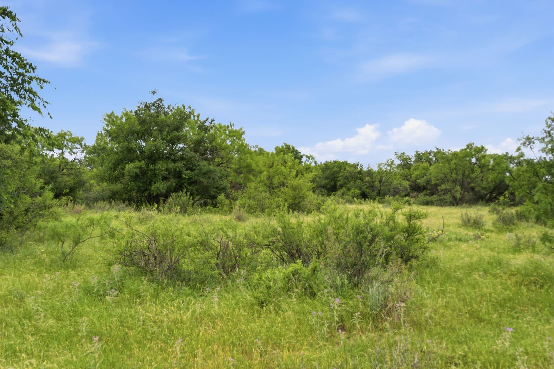 141 acres in Shackelford County - photo 14
