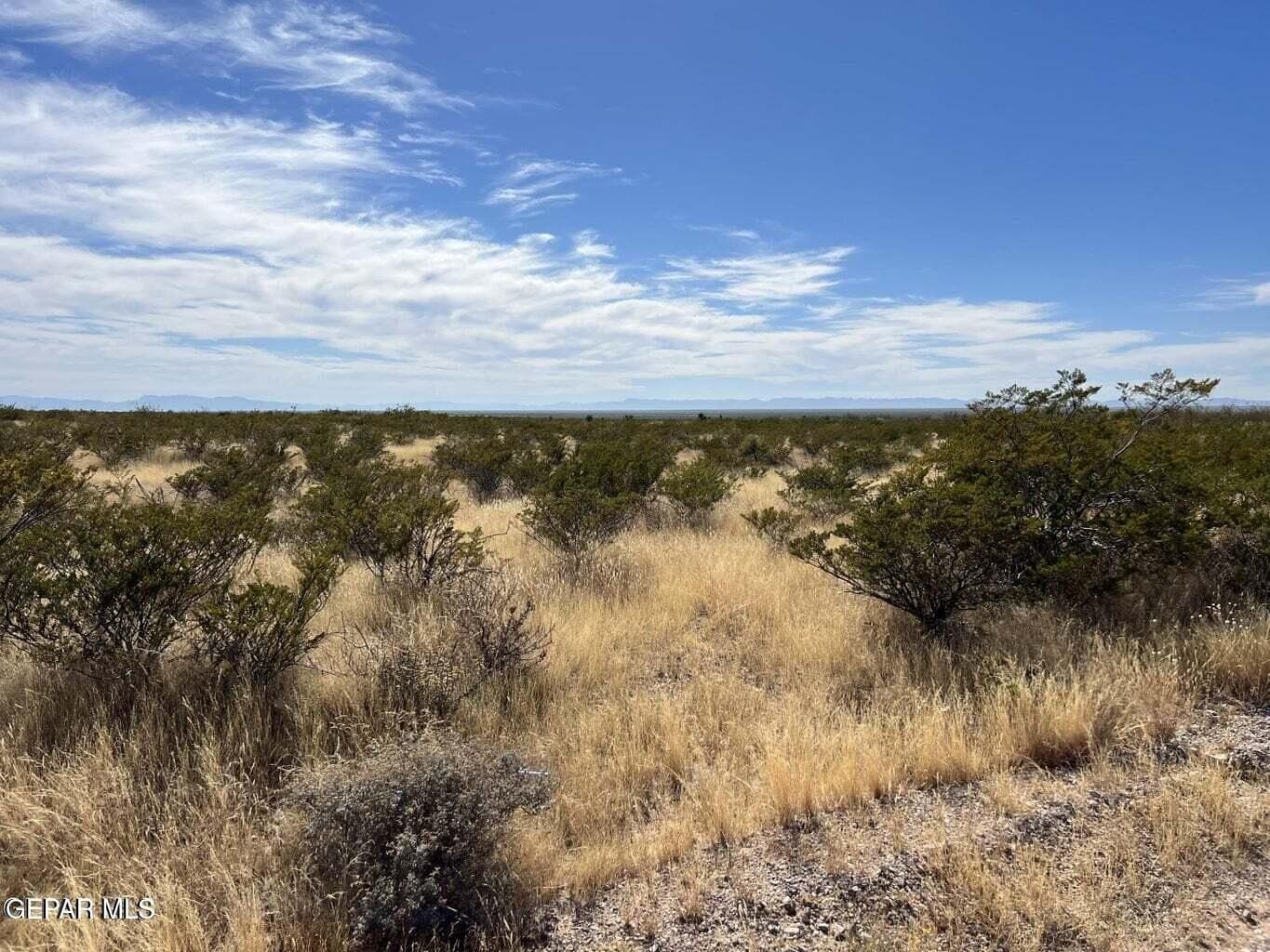 20.15 acres in Hudspeth County gallery image 3