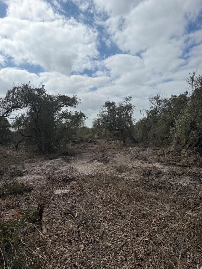 5 acres in Texas County - photo 6