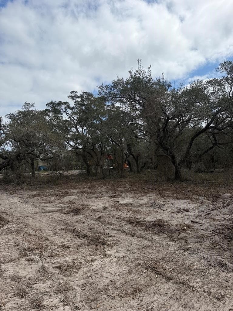 5 acres in Texas County - photo 8