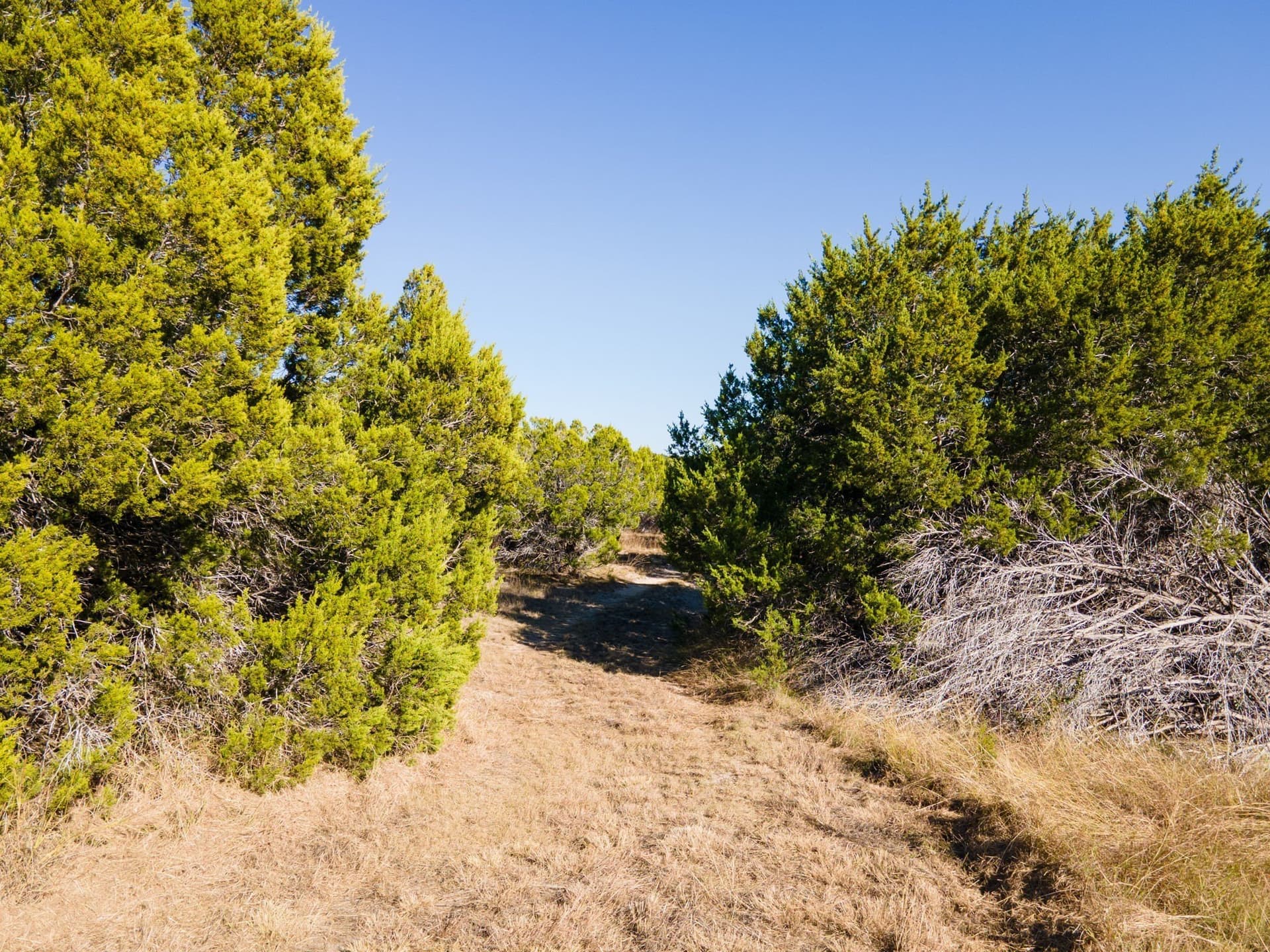 16.38 acres in Lampasas County - photo 11