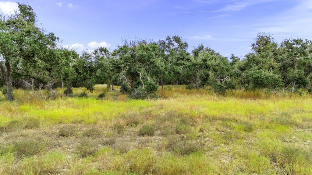 5.86 acres in Comal County - photo 25
