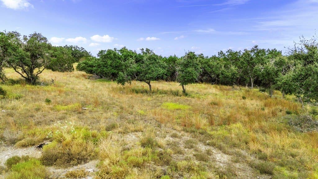 5.86 acres in Comal County - photo 27