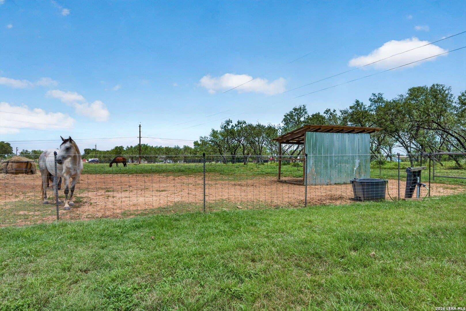 17.53 acres in Guadalupe County - photo 32