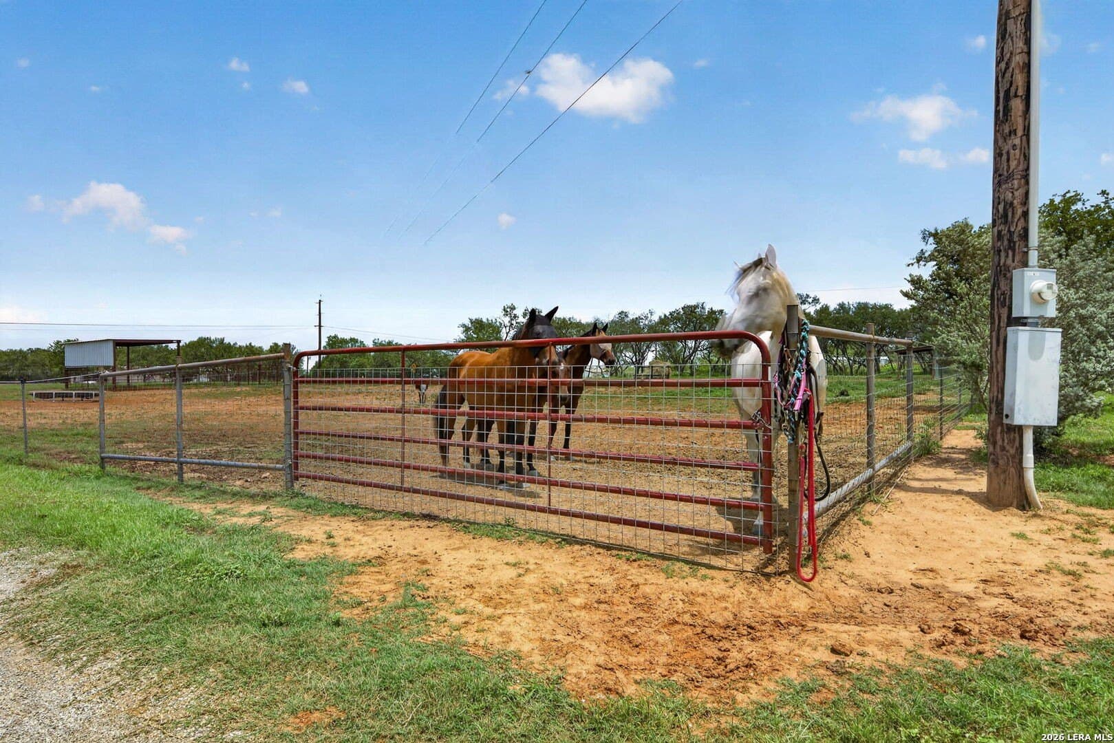 17.53 acres in Guadalupe County - photo 30