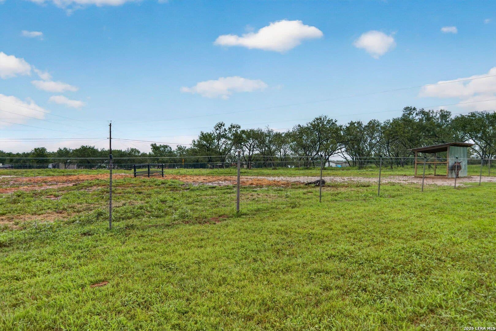 17.53 acres in Guadalupe County - photo 31
