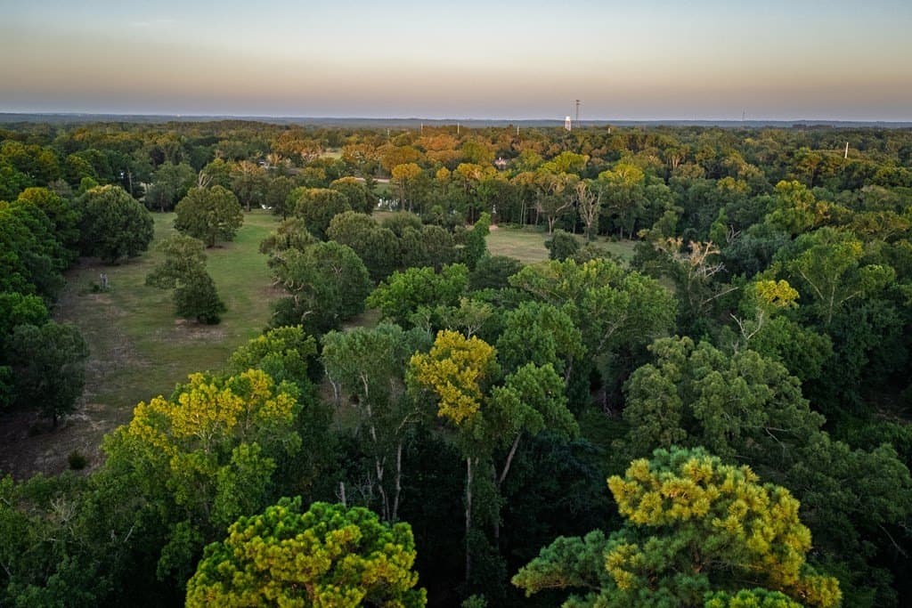 40.04 acres in Henderson County - photo 33
