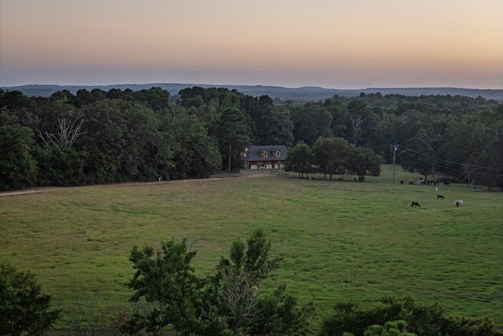 40.04 acres in Henderson County - photo 40