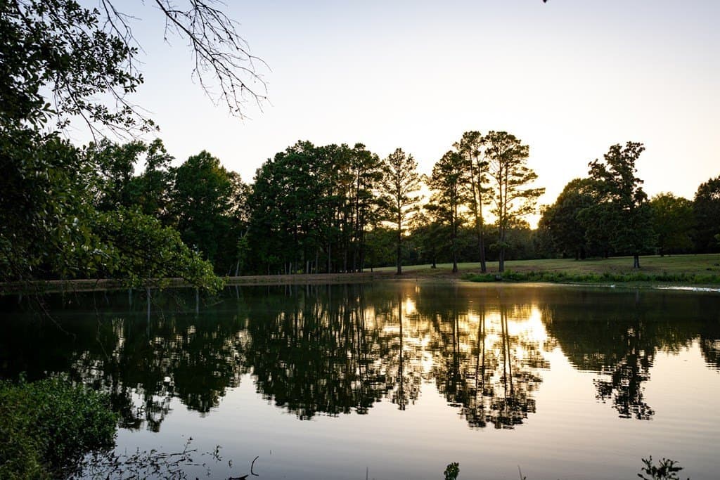 40.04 acres in Henderson County - photo 36