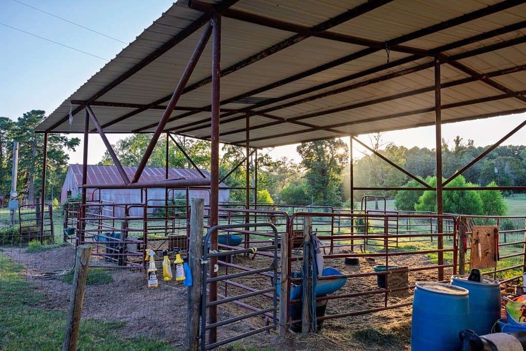 40.04 acres in Henderson County - photo 25