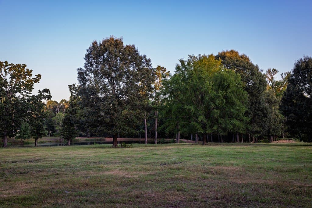 40.04 acres in Henderson County - photo 37