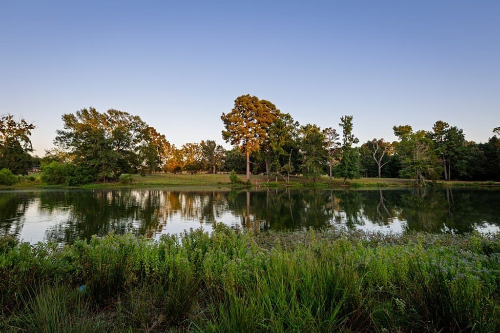 40.04 acres in Henderson County - photo 2
