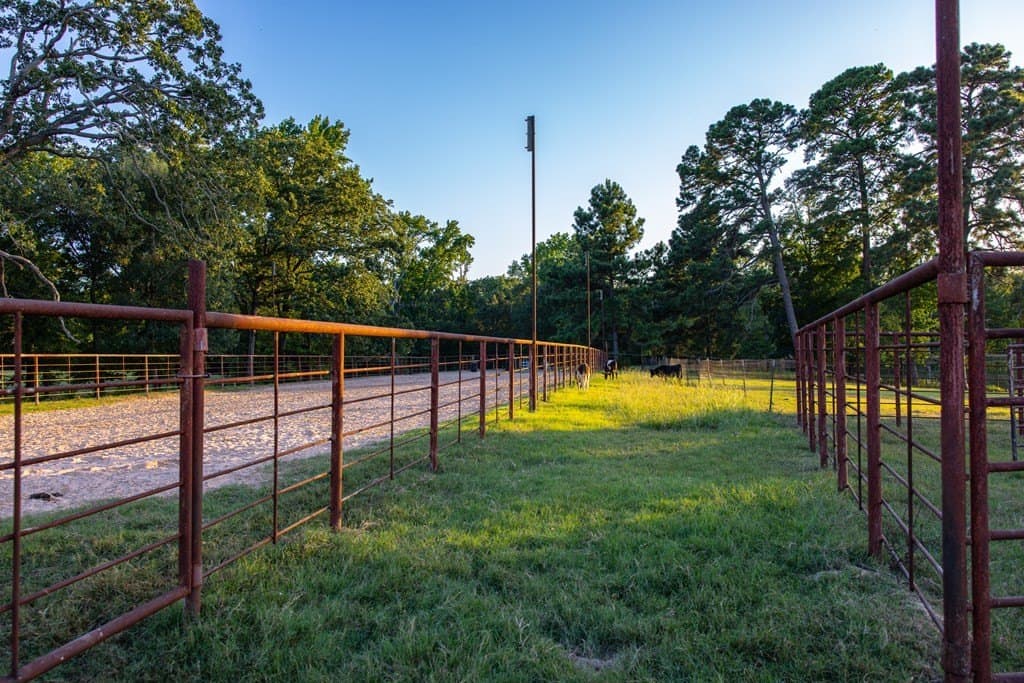 40.04 acres in Henderson County - photo 28