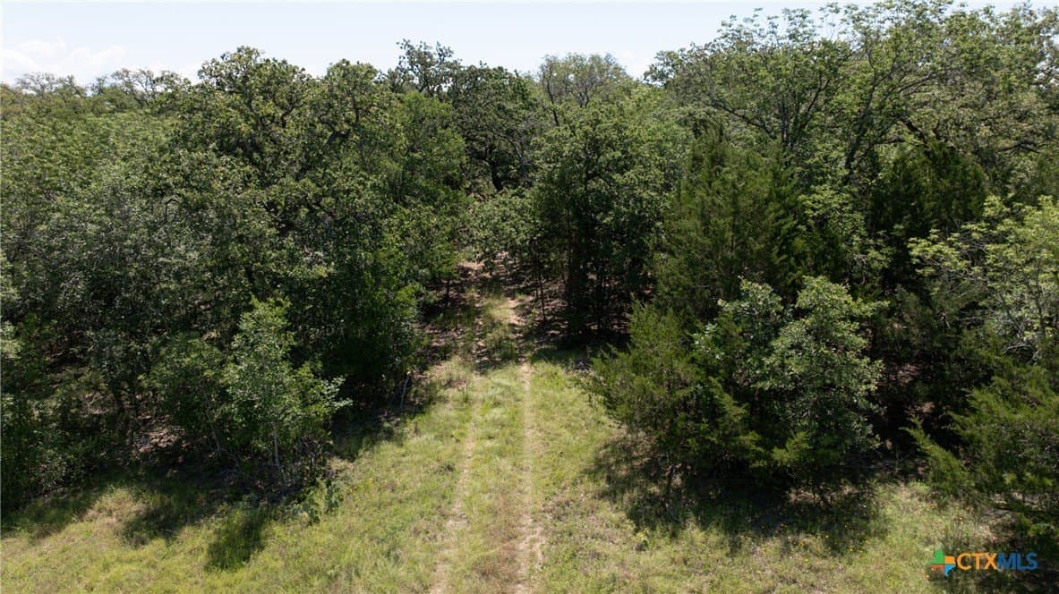 120.96 acres in Milam County - photo 35