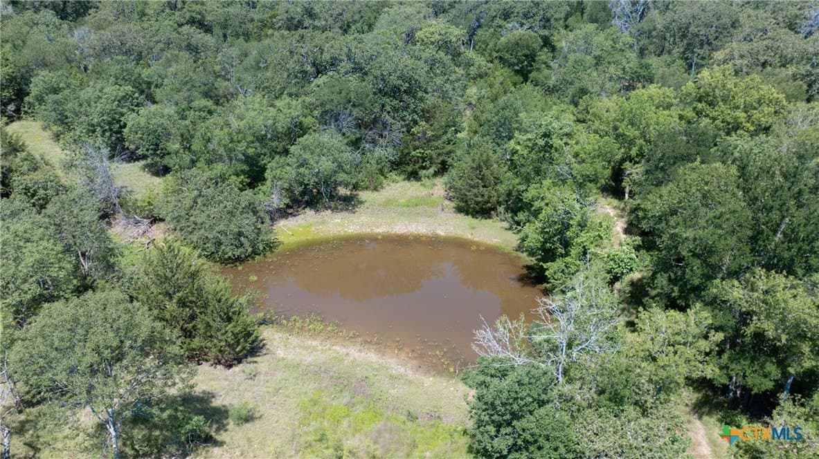 120.96 acres in Milam County - photo 36