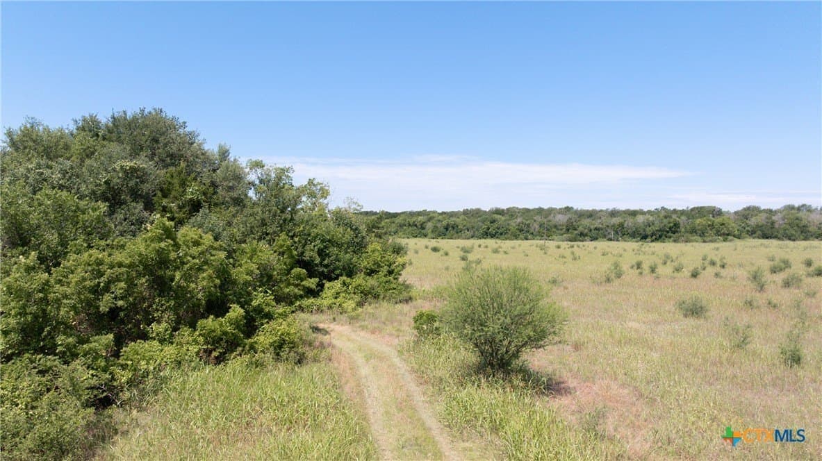 120.96 acres in Milam County - photo 15