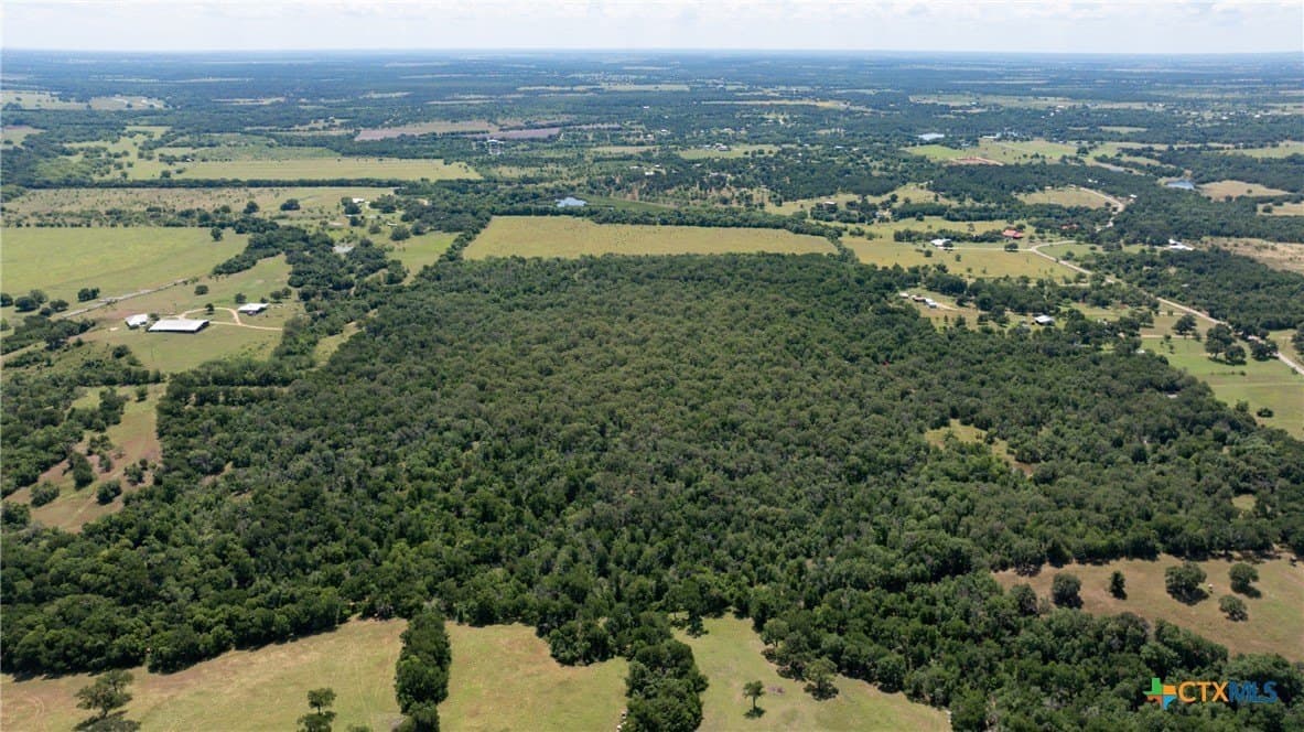 120.96 acres in Milam County - photo 6