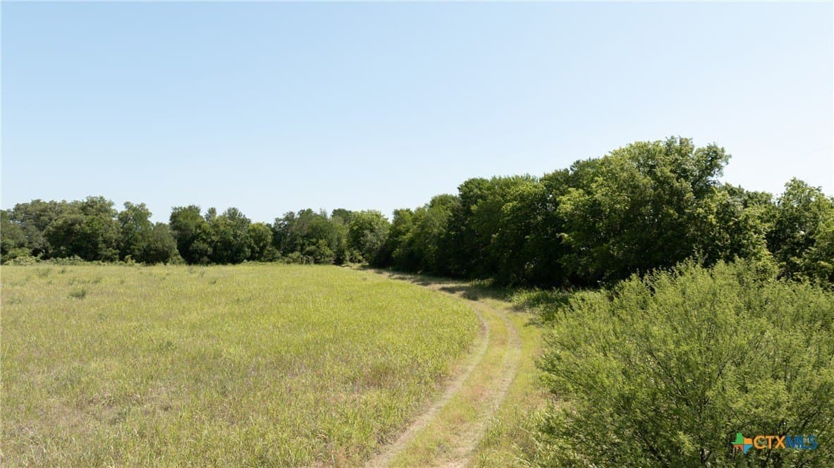 120.96 acres in Milam County - photo 16