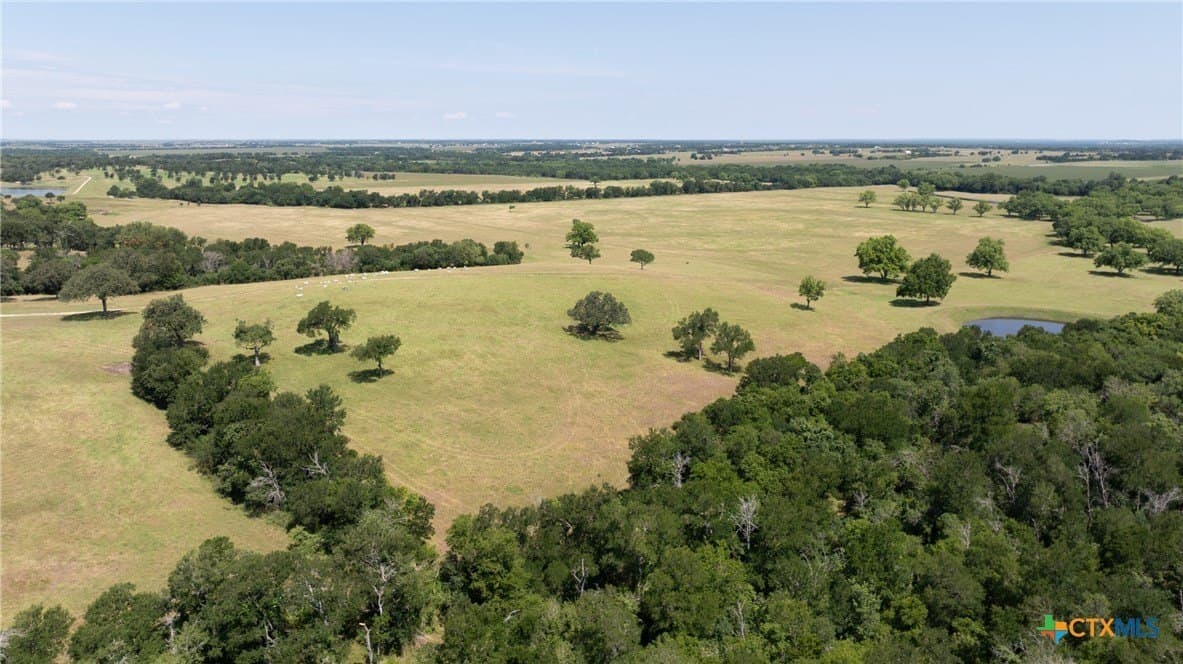 120.96 acres in Milam County - photo 33