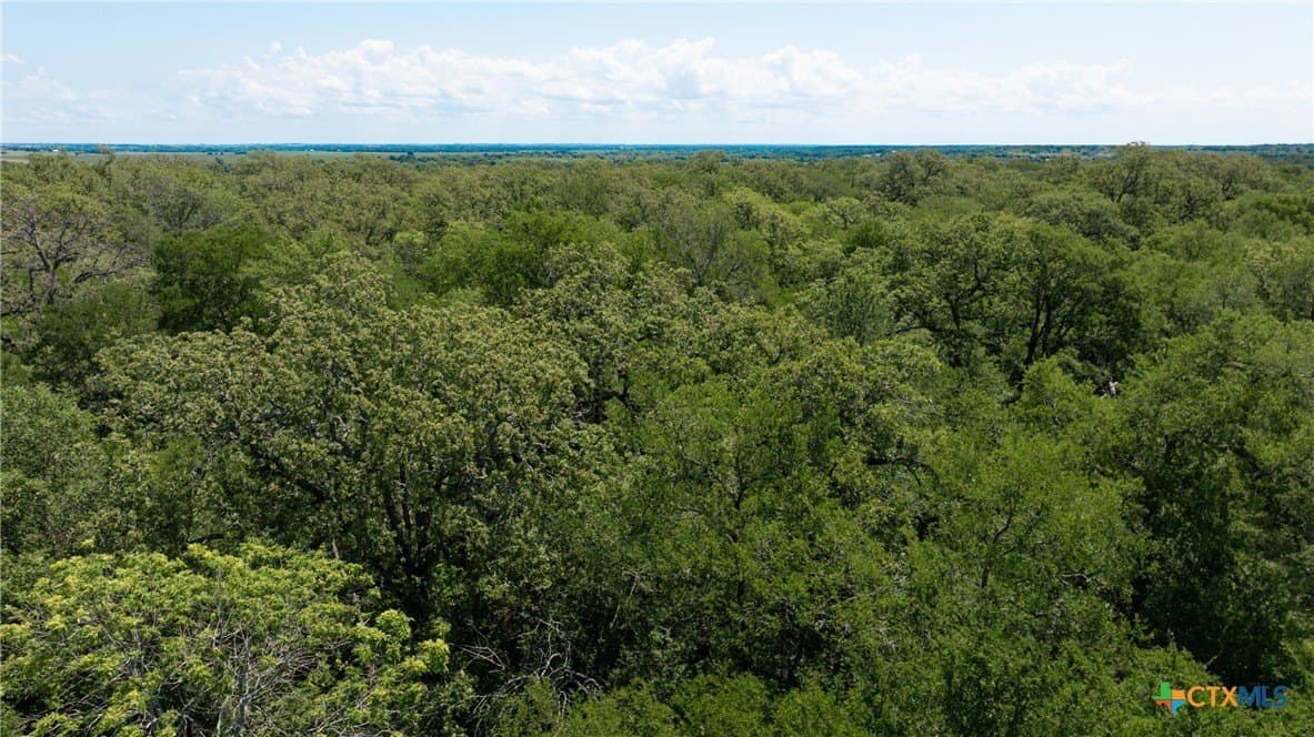 120.96 acres in Milam County - photo 40