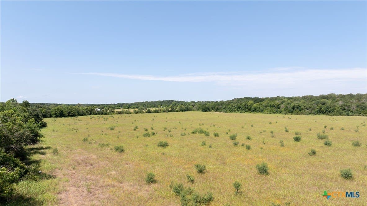120.96 acres in Milam County - photo 18