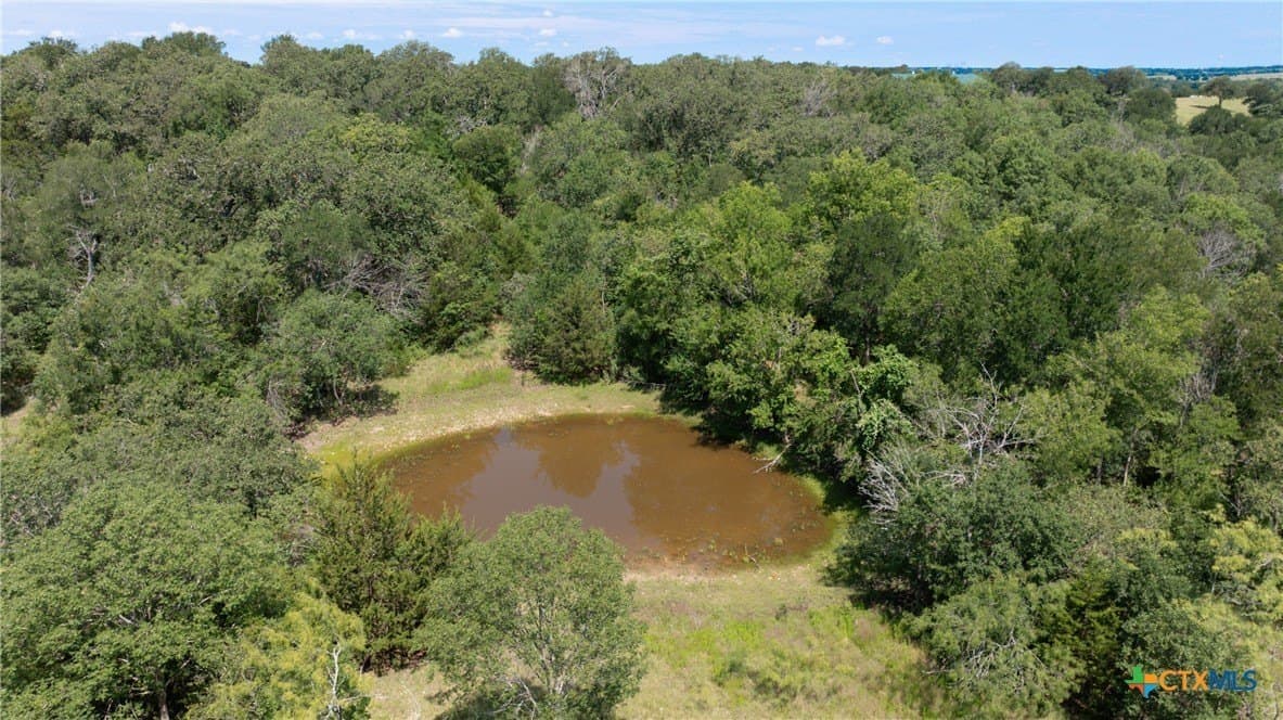 120.96 acres in Milam County - photo 37