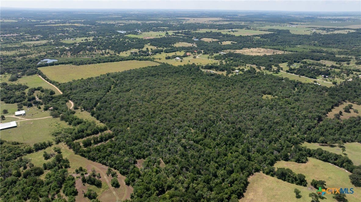 120.96 acres in Milam County - photo 8