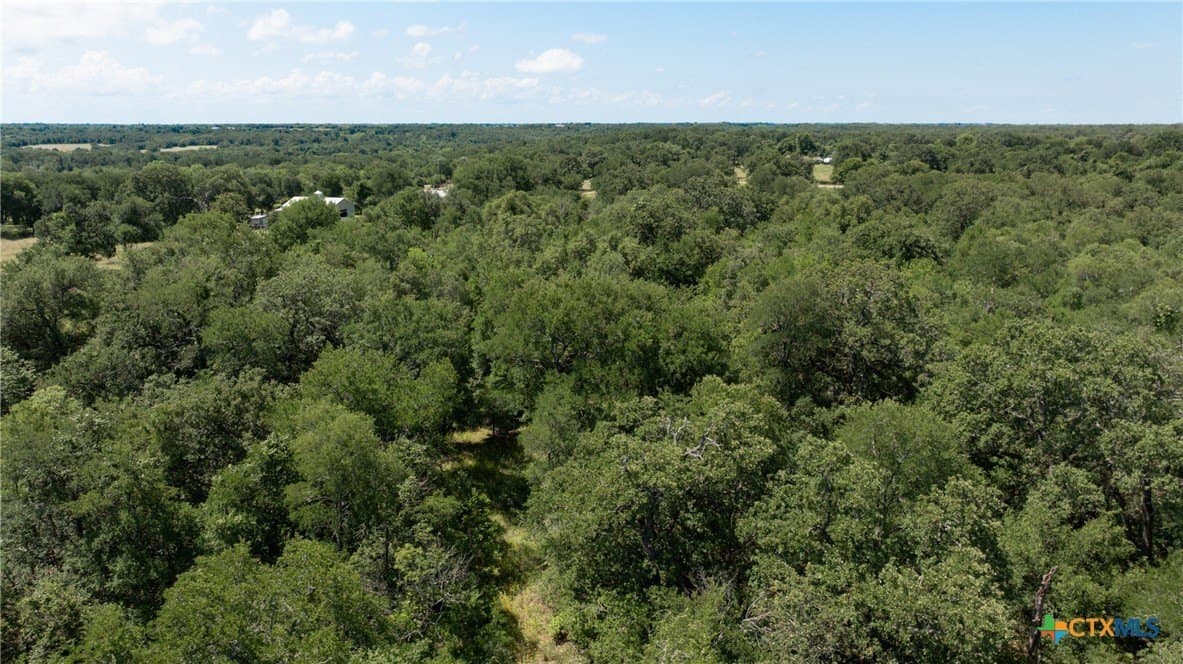 120.96 acres in Milam County - photo 27