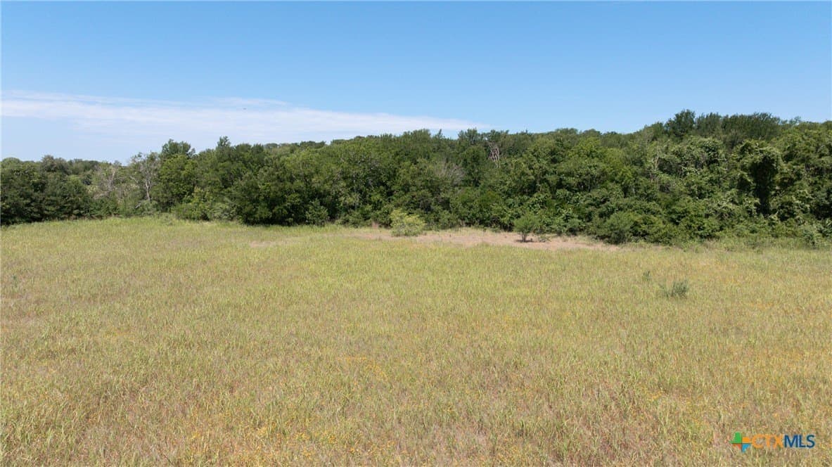 120.96 acres in Milam County - photo 22