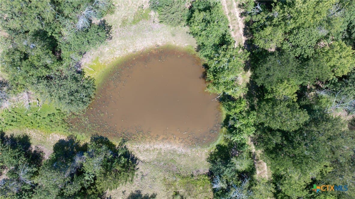 120.96 acres in Milam County - photo 38