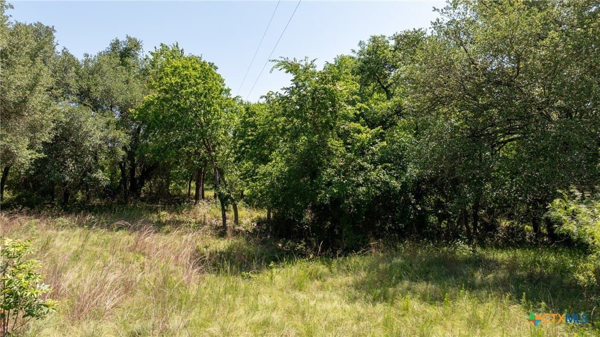 120.96 acres in Milam County - photo 26