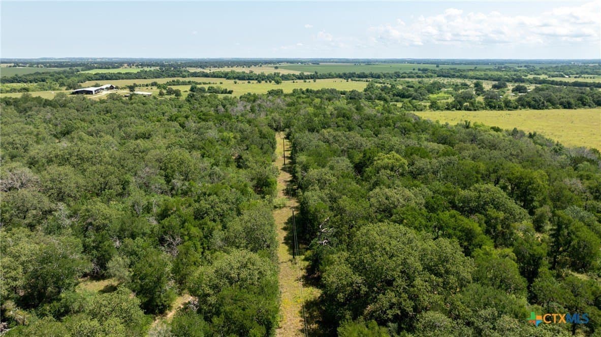 120.96 acres in Milam County - photo 42